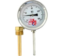 Термометр РОСМА БТ-32.211 радиальный (0-200C) 2.5, L=100мм, с латунной гильзой, коррозионностойкий, биметалл. D070-03094