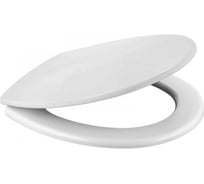 Сиденье для унитаза универсальное WAVE (SANITA, ROSA) 557381