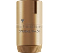 Термоголовка жидкостная Royal Thermo Design М30х1,5 (золото матовое) НС-1706253