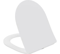 Универсальное сиденье для унитаза IDDIS 006, дюропласт, Soft Close, Easy Fix 006DPSEi31