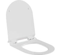 Сиденье для унитаза дюропласт микролифт белый глянец WAVE OPTIMA 557877