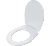 Сиденье Инкоэр И Каскада-x10-голубовато белый Р В00011919