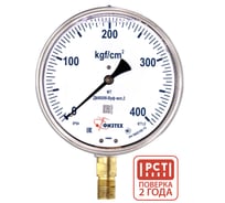 Манометр виброустойчивый ДМ8008-ВУф 0-400 кгс/см2 кт.1,0 d.160 IP54 M20х1,5 РШ, Без запол ПО Физтех, АО Физтех 4687207557580