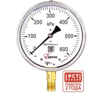 Манометр виброустойчивый ДМ8008-ВУф 0-600 кПа кт.1,0 диамметр 160мм, IP54 M20х1,5 РШ Без запол ПО Физтех, АО Физтех 4687205645135