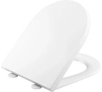 Крышка-сиденье из термодюропласта JACOB DELAFON E34201-00 Bastille 360 с микролифтом и функцией быстрого снятия, белый 00000147937