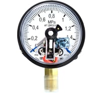 Манометр Физтех, АО ДМ2010ф исп V 0-1,6 МПа кт.1,5 d.100 IP40 G1/2 РШ ПО 4687205623607