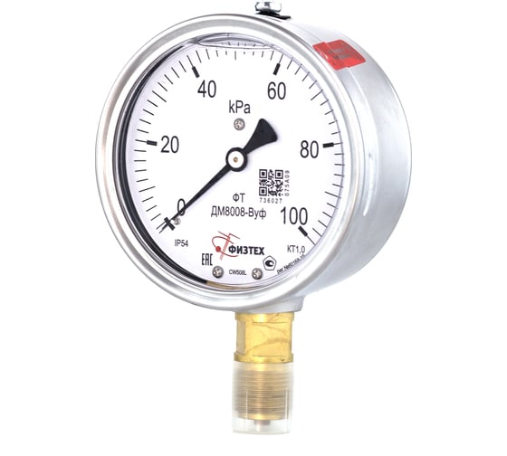 Манометр ДМ8008-ВУф 0-100 кПа кт.1,0 d.100 IP54 M20х1,5 РШ, Без запол ПО Физтех, АО Физтех 4687205640734