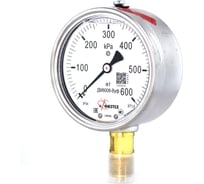 Манометр ПО Физтех, АО Физтех ДМ8008-ВУф 0-600 кПа кт.1,0 d.100 IP54 M20х1,5 РШ, Без запол 4687205641106