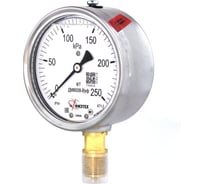 Манометр виброустойчивый ПО Физтех, АО Физтех ДМ8008-ВУф 0-250 кПа кт.1,0 d.100 IP54 M20х1,5 РШ, Без запол 4687205640901