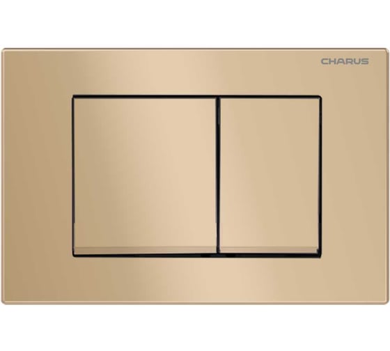 Клавиша для инсталляции CHARUS TM Серия: MINIMALISTA Материал: Пластик ABS Тип: Механический Размер: 245х165х11,7 Цвет: Матовый песок FP.310.51.01