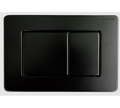 Клавиша для инсталляции CHARUS TM (Серия: ROBUSTO, материал: Нержавеющая сталь (SS 304), тип: Механический, цвет: Черный матовый) FP.310.MB.05