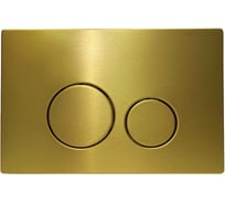 Клавиша для инсталляции CHARUS TM (Серия: ROBUSTO, материал: Нержавеющая сталь (SS 304), тип: Механический, цвет: Брашированное золото (Светлое)) FP.330.BG.05