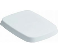 Сиденье из терморезины SIMAS EVOLUTION с микролифтом, цвет белый, петли цвет хром EVO 004 bia