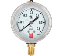 Манометр BD ДМ 2 100 Р (0-0,6) бар, кл.1,0, G1/2 125111152327