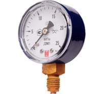 Манометр BD ДМ 1 050 Р (0-25) бар, кл.2,5, 1/4NPT 1121111831212