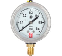 Манометр BD ДМ 2 100 Р (0-600) бар, кл.1,0, G1/2 125111154027