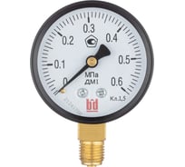 Манометр BD ДМ 1 Т2 100 Т (0-1) МПа, кл.1,5, G1/2 1151111624191056