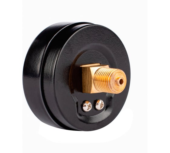 Манометр BD ДМ 1 Т2 100 Т (0-1) МПа, кл.1,5, G1/2 1151111624191056