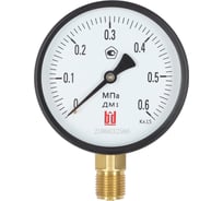 Манометр BD ДМ 1 Т2 100 Р (0-0,6) МПа, кл.1,5, М20х1,5, IP54 1151111624191787/24