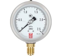 Манометр BD ДМ 2 100 Р (0-2,5) МПа, кл.1,0, G1/2 125111153017