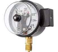 Манометр электроконтактный BD ДМЭ Т2 100 V Р (0-1) МПа, М20х1,5, кл. 1,5 8952615295Т2