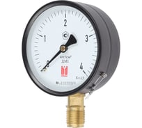 Манометр BD ДМ 1 Т2 100 Р (0-250) кгс/см2, кл.1,5, М20х1,5, IP54 113110004522