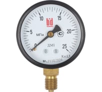 Манометр BD ДМ 1 Т2 100 Р (0-25) МПа, кл.1,5, М20х1,5 11511116241975Т2