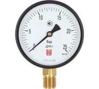 Манометр BD ДМ 1 Т2 100 Р (0-40) бар, кл.1,5, G1/2 11511116241910