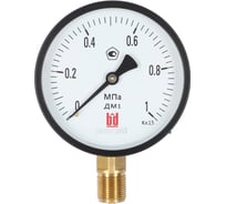 Манометр BD ДМ 1 Т2 100 Р (0-0,1) МПа, класс 1,5, G1/2 115111162411913Т2