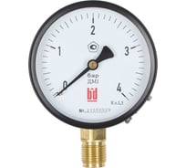 Манометр BD ДМ 1 Т2 100 Р (0-1) бар, класс 1,5, G1/2 115111162411912Т2