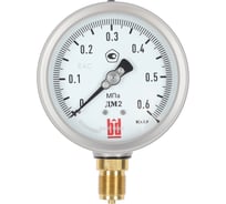 Манометр BD ДМ 2 100 Р (0-60) кгс/см2, класс 1,0, М20х1,5 125111153939