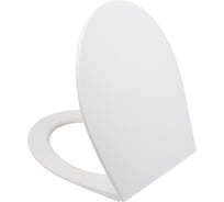 Сиденье из полипропилена IDDIS 008, микролифт (soft-close), быстросъемное 008PPSEi31