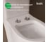 Сиденье из полипропилена IDDIS 008, микролифт (soft-close), быстросъемное 008PPSEi31 5