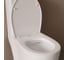Сиденье из полипропилена IDDIS 008, микролифт (soft-close), быстросъемное 008PPSEi31 8