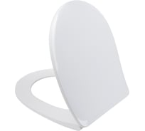Сиденье IDDIS из полипропилена, 009, Soft Close, Easy Fix, 009PPSEi31