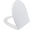 Сиденье из полипропилена IDDIS 009, микролифт (soft-close), быстросъемное 009PPSEi31 1