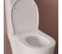 Сиденье из полипропилена IDDIS 009, микролифт (soft-close), быстросъемное 009PPSEi31 8