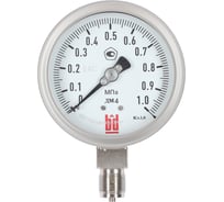 Манометр BD ДМ 4 100 Р (0-0,6) бар, кл. 1,0, G 1/2, 145122252327