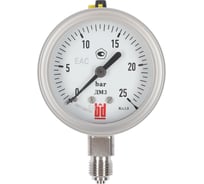 Манометр BD ДМ 3 063 Р (0-2,5) бар, кл. 1,5, M12×1,5, 133121263026
