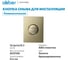 Кнопка смыва пневматическая ABBER золото брашированное AC0126BG 2