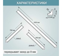 Комплект акриловых бордюров для ванной BNV "Прометей" 4603312129467