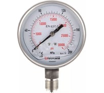 Манометр гидравлический GARWIN 2800 бар; 100 мм; 1/2” BSP 819050-5