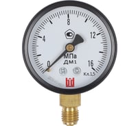 Манометр BD ДМ 1 Т2 250 Р 0-1.6 МПа, класс точности 1.5, M20x1.5 11711116282299