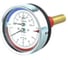 Термоманометр Физтех МПТ 0…120C/0…0,16 МПа кт.2,5 d.80 IP40 G1/2 ОШ L100 4687205630681 1