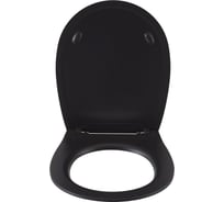 Крышка-сиденье для унитаза ALLEN BRAU Fantasy Smartfix, Soft-Close 4.11005.31 черный 00269468