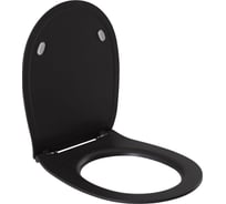 Крышка-сиденье для унитаза ALLEN BRAU Fantasy Smartfix, Soft-Close 4.11005.AN антрацит 00269467