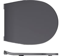 Крышка-сиденье для унитаза ALLEN BRAU Reality 4.32007.AN 00280169