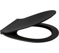 Крышка-сиденье для унитаза ALLEN BRAU Reality 4.32007.31 00280167