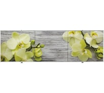 Раздвижной экран под ванну PERFECTO LINEA 150 см 36-031509