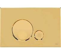 Механическая двойная панель OLI Globe пластик, золото 152954